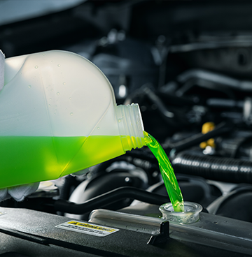 Wade Bryant's Auto Repair