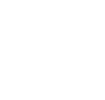 check icon