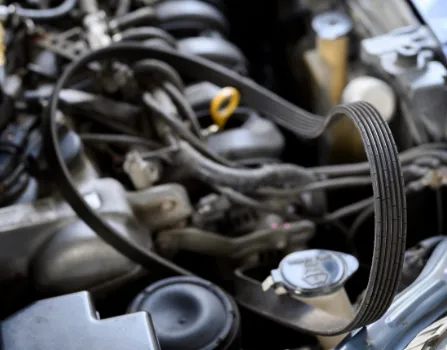 Timing Belt Replacement