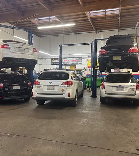 5 subarus in a bay