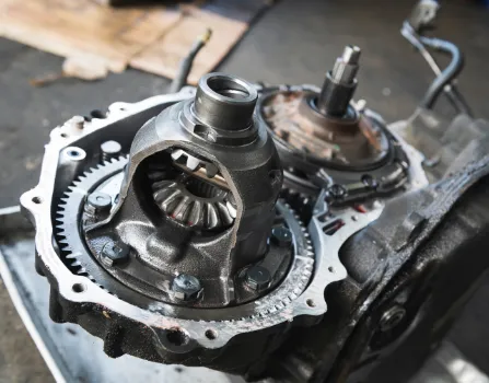 Differential Services