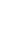 WiFi Icon